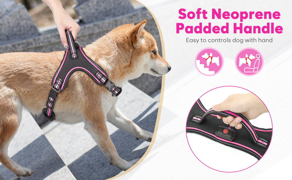 Світлодіодне шлейка для собак з підсвічуванням, заряджається, з ручкою, світловідбиваюча, для безпеки вночі, середніх, маленьких та великих собак (Рожева, XL)