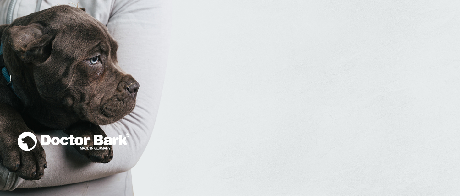 Ортопедичний матрац для собак Doctor Bark з флісовою поверхнею, великий (100x70 см, сірий)