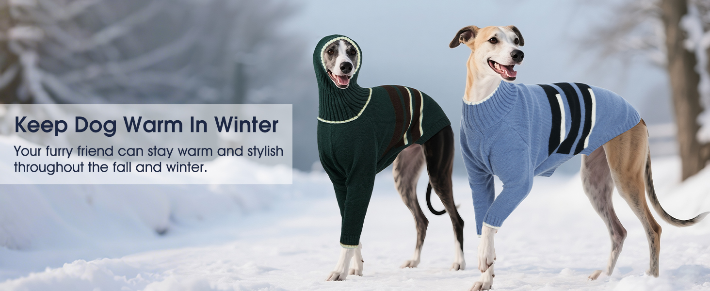 Пуловер IECOii для собак з навушниками, теплий зимовий костюм для грейхаундів, курчаків, віппетів, блакитний, розмір M