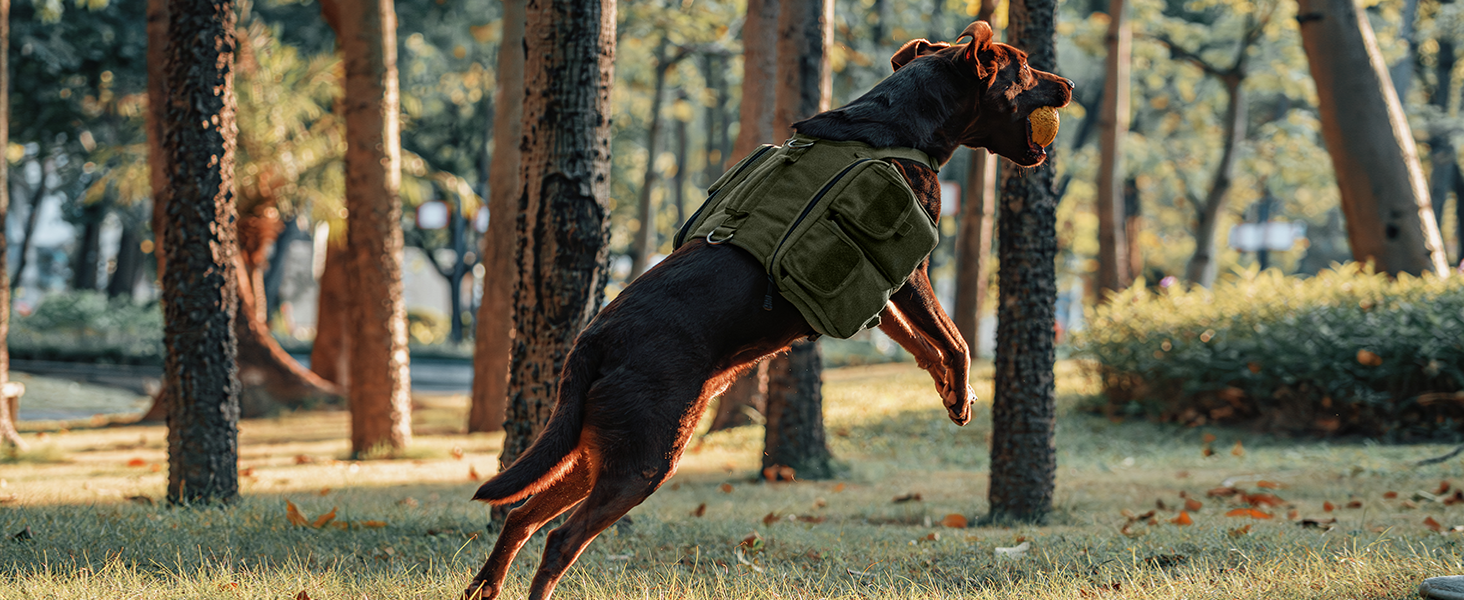 Шлейка для собак OneTigris з рюкзаком, Hoppy Camper 3.0, для кемпінгу та піших прогулянок, зелена, L