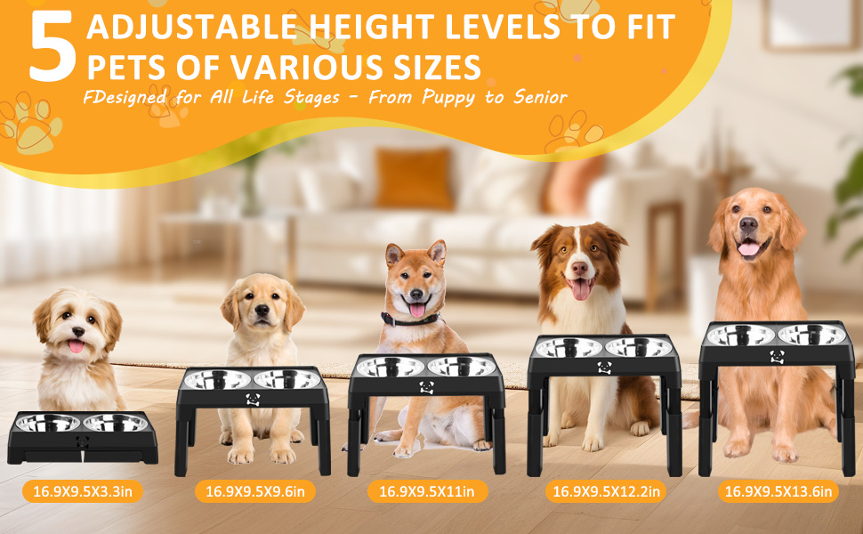 Підвищений годівниця для собак з регулюванням висоти, 5 рівнів, для малих, середніх та великих собак, годівниця-станція з 2 мисками з нержавіючої сталі, складна та протиковзка, для здоров'я суглобів та без BPA