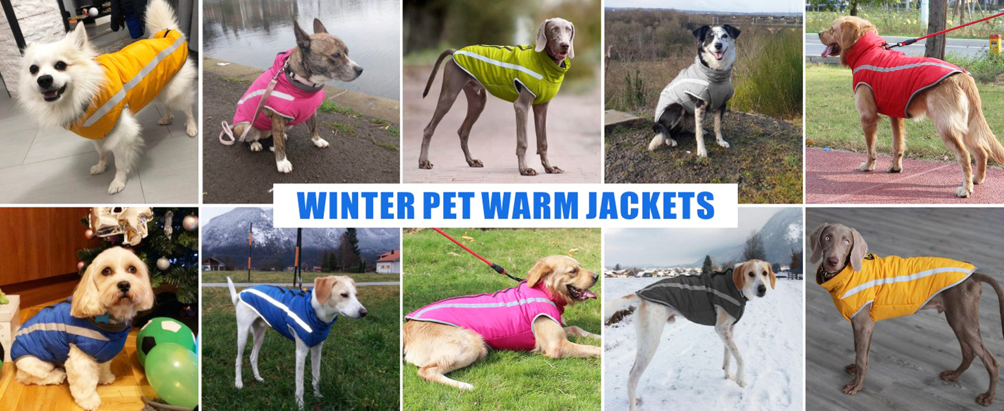 Водонепроникні куртки для собак, зимові теплі одяг для тварин, куртки для собак, одяг для собак, світловідбиваючий одяг, жилет для цуценят з шлейкою, отвір для маленьких, середніх та великих собак (Сірий, 2XL)