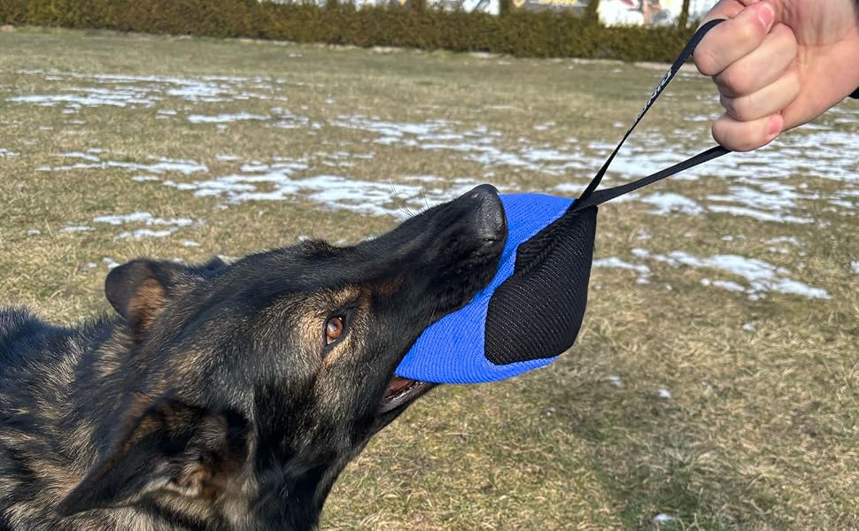 Іграшка для собак Dingo Gear, кусальна подушка з нейлкоту з ручкою, 10x10 см, куб, чорна/рожева, для тренування і гри