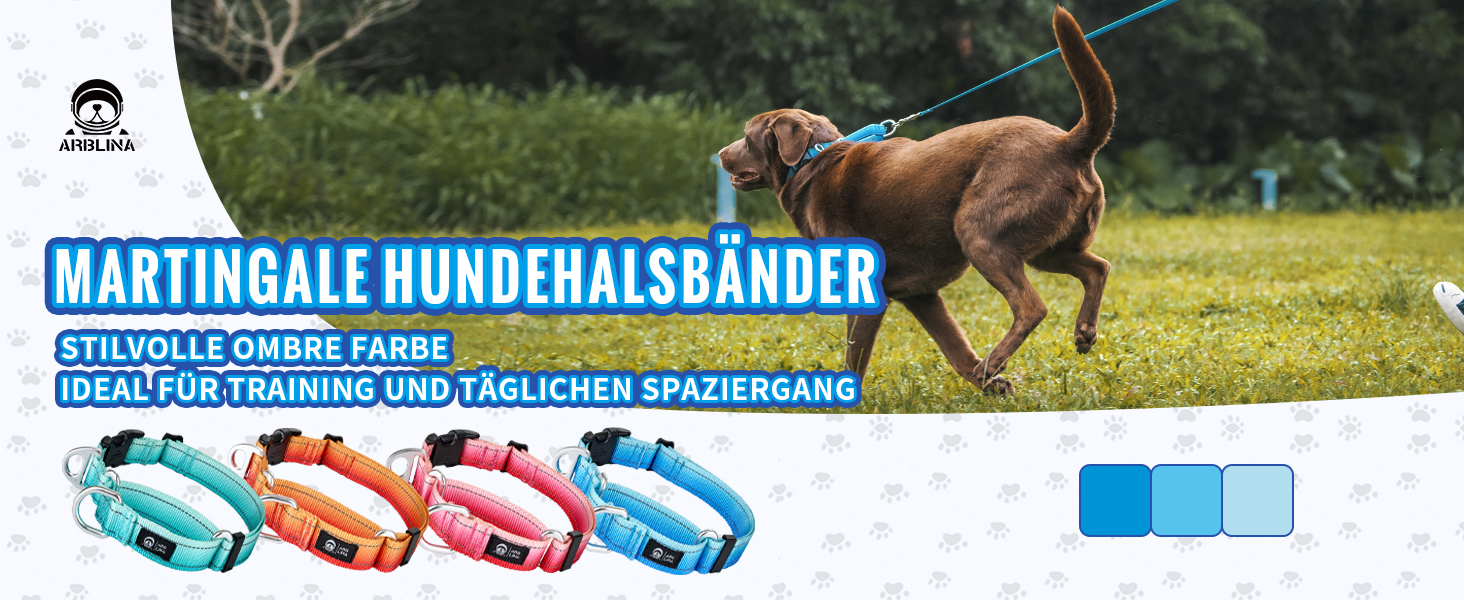 Нашийник для собак Martingale, світловідбиваючий, з зупиняючим ефектом, для великих, середніх та маленьких собак, нейлон, синій, розмір L