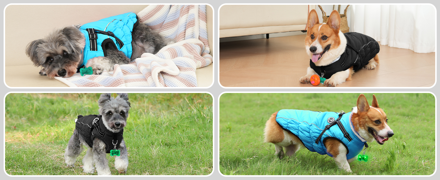 Зимовий одяг для собак: тепла куртка з LED-краваткою, світловідбиваючі смуги, водонепроникний, для маленьких та середніх собак (Чорний, XXL)