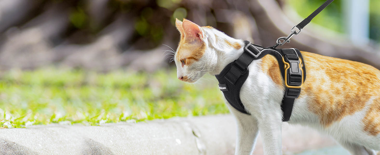 Шлейка для кота Rabbitgoo з повідком, чорна, м'яка, для котів, шлейка-жилет, безпечна, регульована, чорна, M (1 шт.)