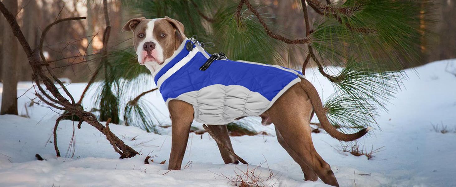 Зимовий теплий одяг для собак - тепла жилетка для маленьких собак, цуценят, чихуахуа. Зимовий костюм для собак (зелений, XS)