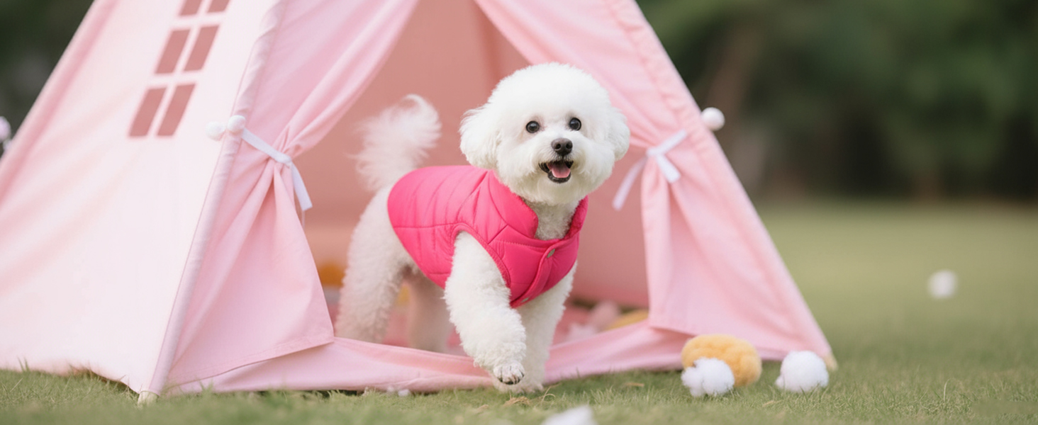 Зимовий теплий водонепроникний одяг для собак - куртка з флісу для малих порід (M, блакитний)