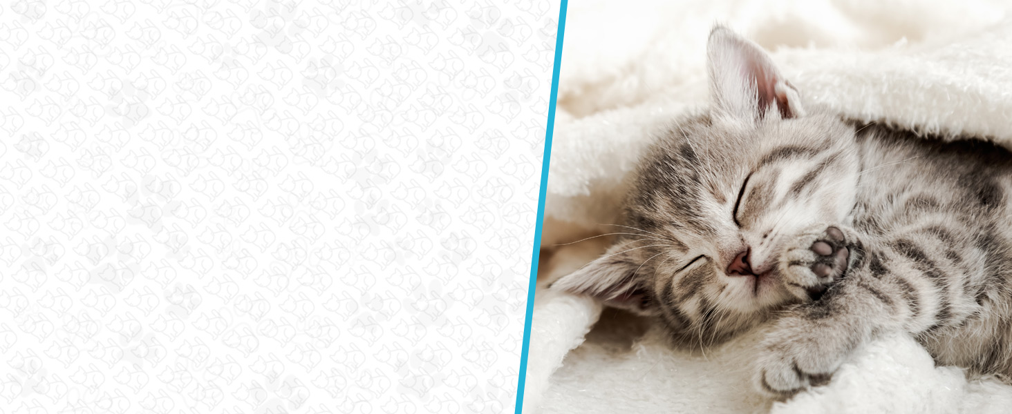 Шліфувальник для собак Candure: безшумний тример для кігтів з LED-підсвіткою, 360° та змінним насадженням, підходить для всіх порід (XS, блакитний)