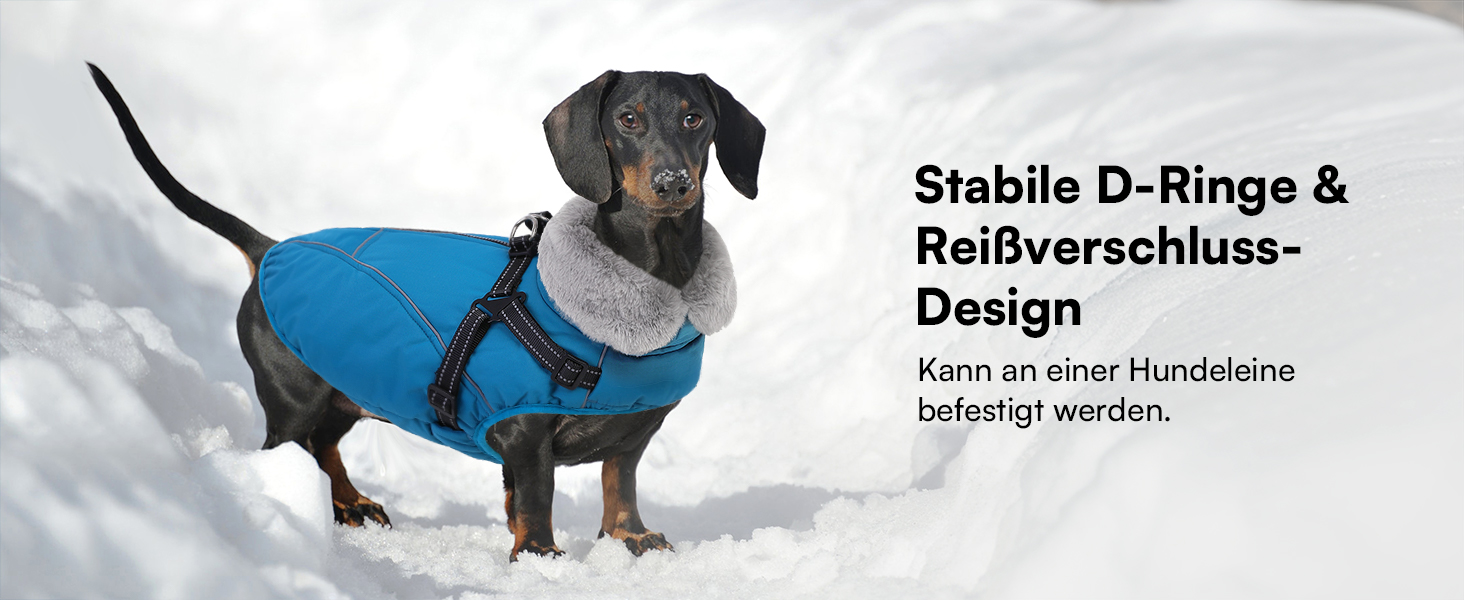 Зимовий теплий водонепроникний одяг для собак Queenmore, куртка для собак з шлейкою, 3-шарова, світловідбиваюча, для великих порід (лабрадор, хаскі, голден ретрівер) (Морська хвиля, 2XL) XXL Морська хвиля