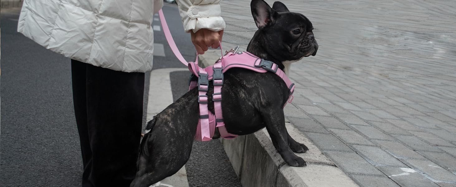 Нашийник для собак Wuffley з повідком, безпечний нашийник від вислизання, анти-тяговий нашийник з ручкою та світловідбиваючими елементами, легкий, регульований нашийник для середніх собак (рожевий, XS) Дуже маленький рожевий