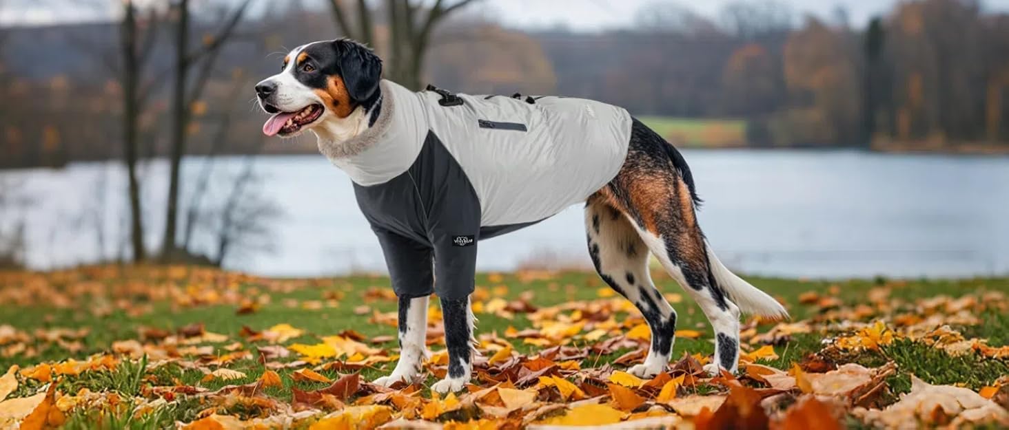 Водонепроникний зимовий одяг для собак, теплий, з підкладкою з кашеміру, з регульованою шнурівкою, кишенею, світловідбиваючими елементами, застібкою-пряжкою, сірий, розмір XXL