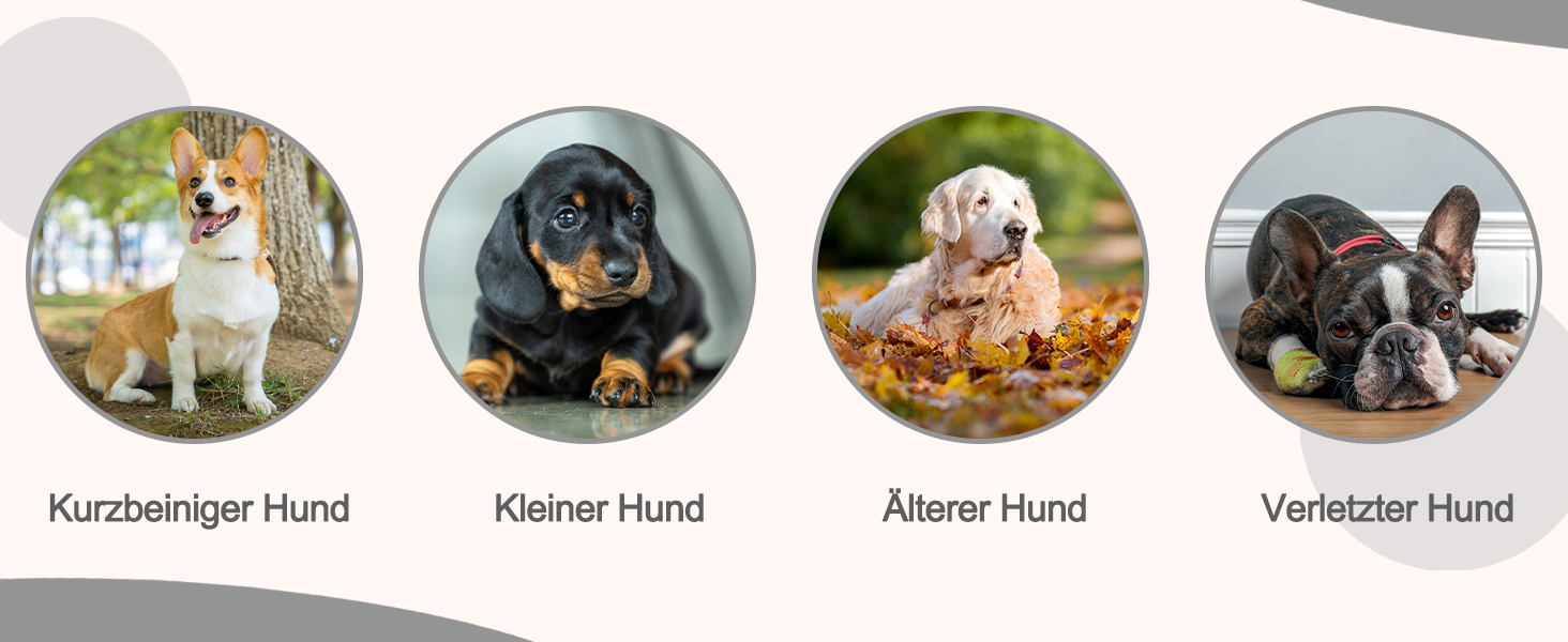 Сходинка для собак Galatée: м'яка, зручна, знімний чохол на блискавці, для легкого підйому, сірого кольору