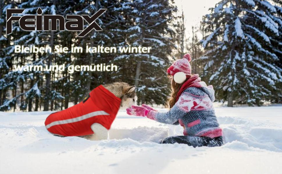 Водонепроникний зимовий теплий одяг для собак FeimaX: куртка з флісовою підкладкою, світловідбиваючі елементи, розмір XXL, оливковий