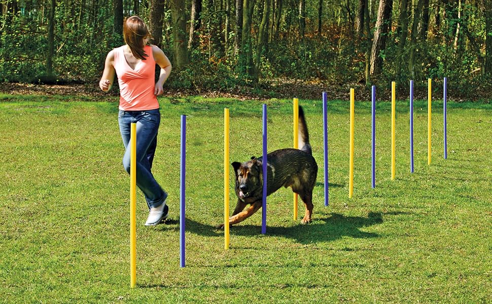 Karlie Agility Slalom - іграшка для аджиліті, жовто-блакитна