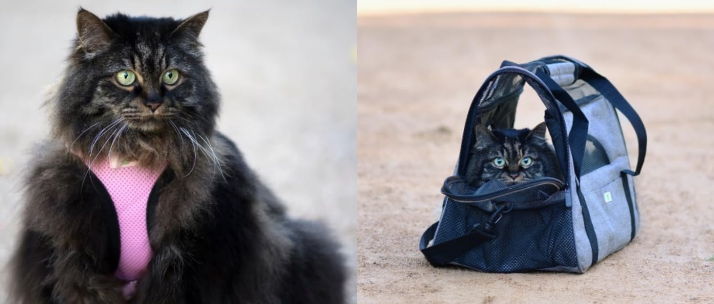 Транспортна сумка для котів та собак, складана переноска, переноска для котів та собак, кошик для котів. Інтелектуальна переноска.