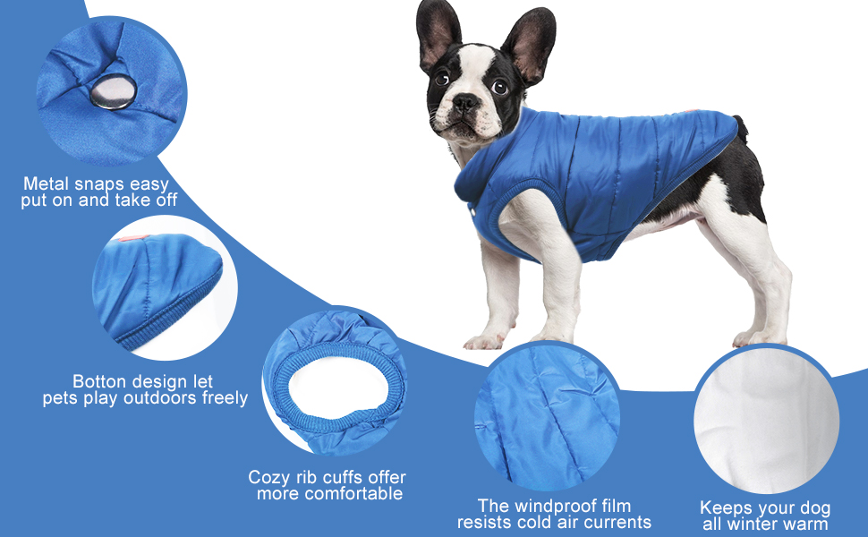 Зимовий одяг для собак Meioro: тепла куртка, флісова жилетка, м'який світшот для малих та середніх собак (XXL, блакитний)
