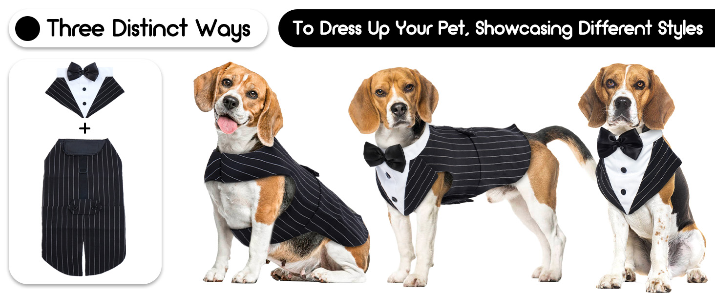 Костюм для собак 'Хюкосу Хунд' з банданою: для вечірок, свят, Хелловіну та Нового року. Підходить для собак різних розмірів.