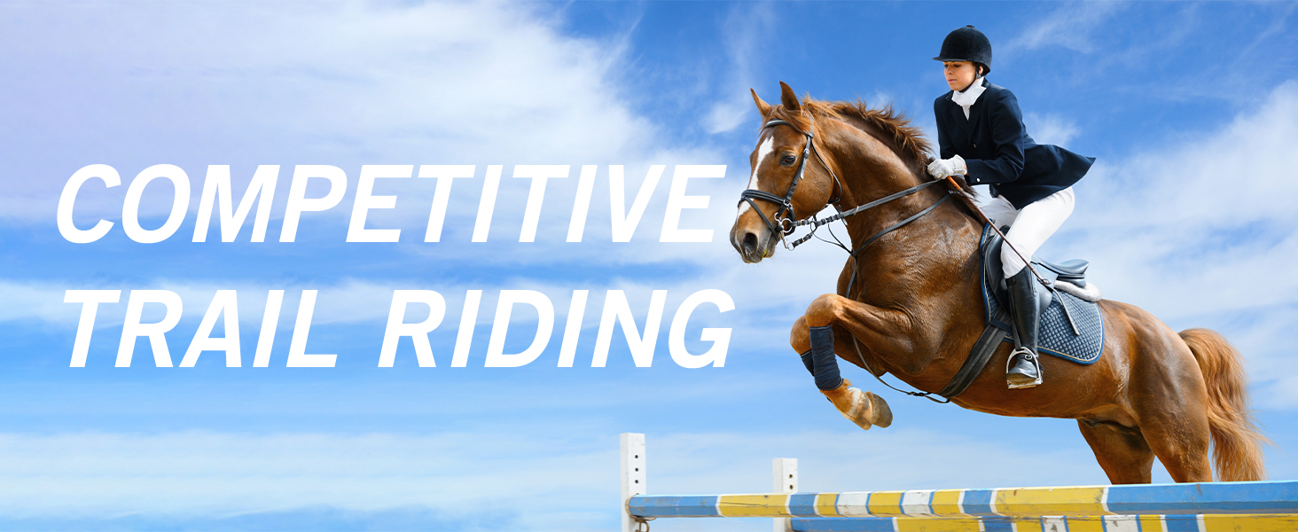 Брюки для їзди верхи Baleaf для жінок та дівчаток, зимові, утеплені, з підкладкою, водонепроникні, з кишенею для телефону, чорні, розмір M