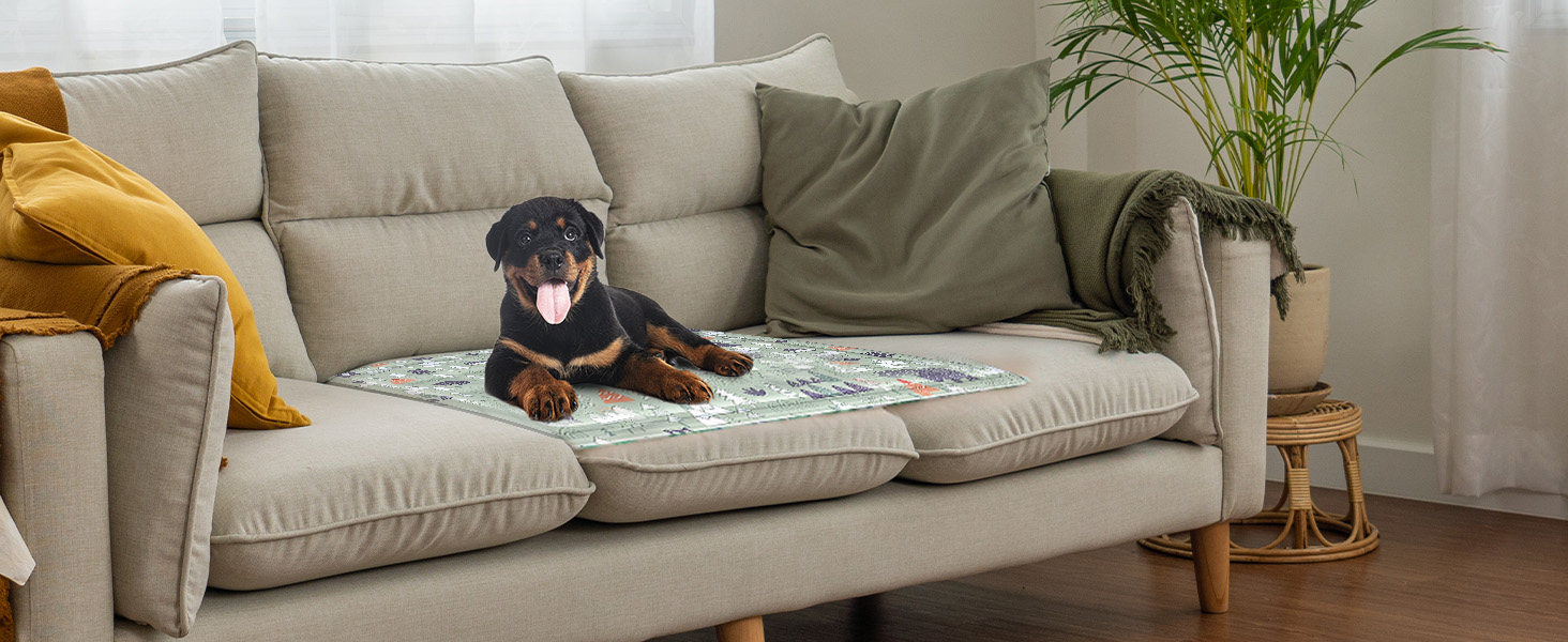 Кühlmatte Hunde: Охолоджуючий килимок для собак та котів 50x65 см. Самоохолоджуючий, водовідштовхуючий, з нетоксичним гелем. Для дому та вулиці.