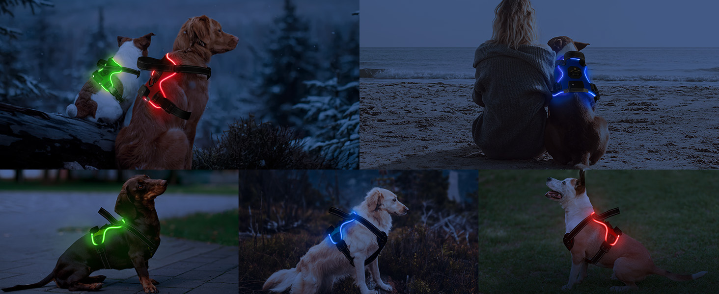 Шлейка для собак Masbri світловідбиваюча, регульована, з ручкою, м'яка, світловідбиваюча, для собак середніх та великих порід, чорно-біла, TC3005B, чорно-біла (M, червона)