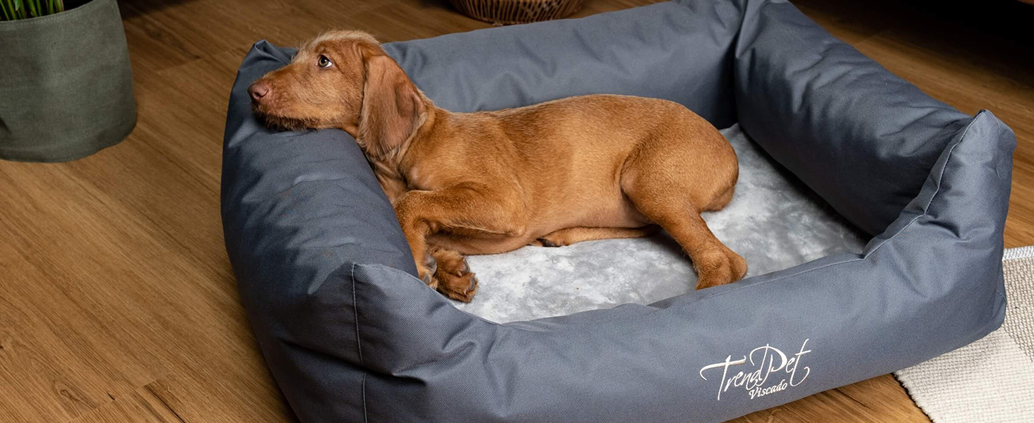 Ортопедичне собаче ліжко TrendPet Viscado сірого кольору, 100 см