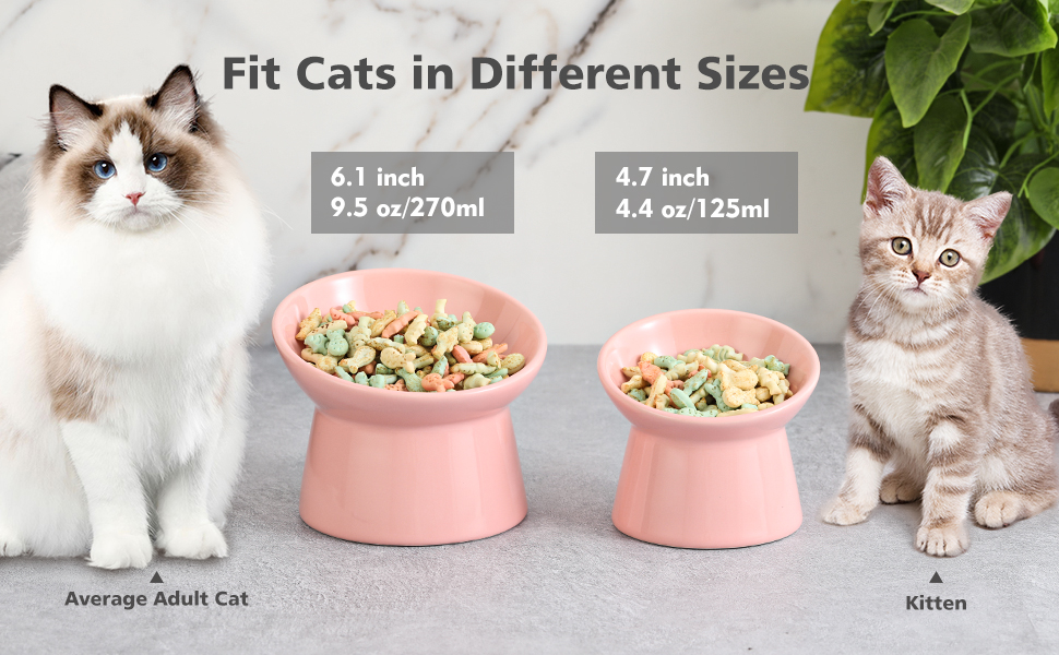 Котловий набір з кераміки, піднятий на 15°, для котів, запобігає зворотному викиду, 280 мл, білий (рожевий)