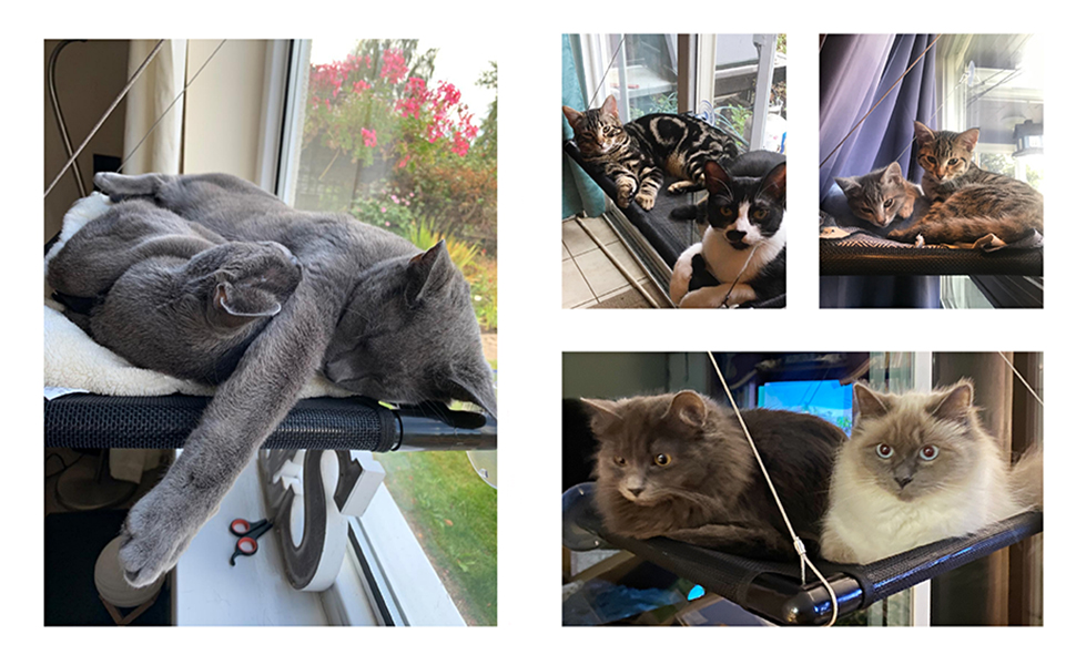 Крісло-гамак для котів Dracarys на вікно | для великих котів до 20 кг | Посилена конструкція з міцними присосками | Лежанка для котів, сонячне місце, лежанка для домашніх тварин, підходить для вікон шириною ≥76 см та висотою ≥64 см, розмір 68*38*58 см