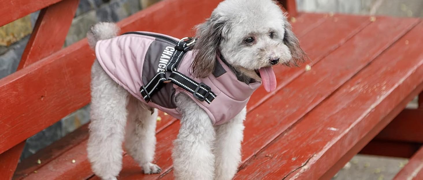 Теплий зимовий одяг для собак: куртка, жилет, плащ для маленьких та середніх порід, рожевий