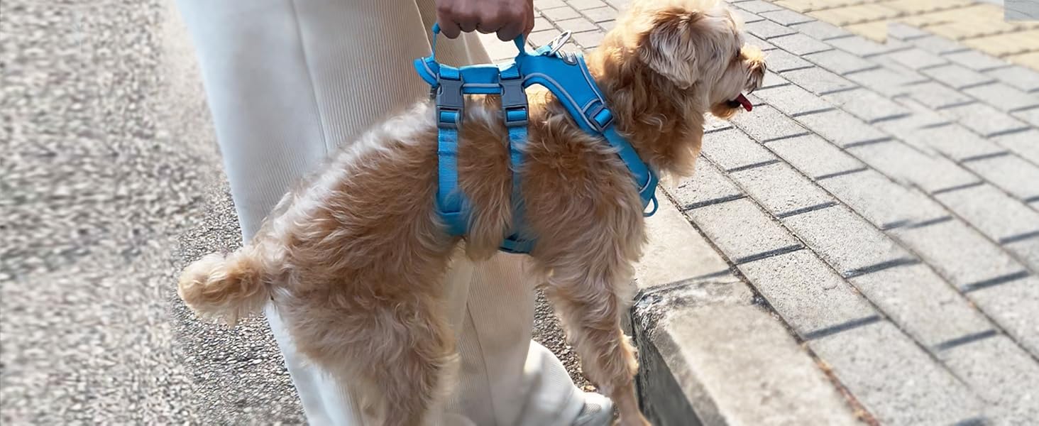 Нашийник для собак Wuffley з повідком, безпечний, анти-ривок, з ручкою та світловідбиваючими елементами, для середніх собак (Блакитний, M)