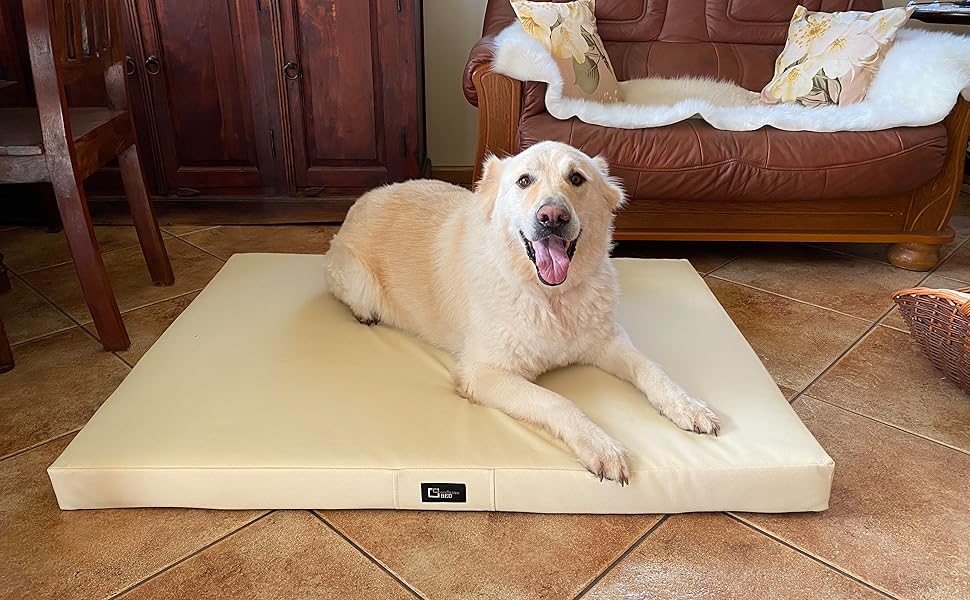 Килимок для собак Tina Grosse, XL, 100x80x8 см, бежевий (Еко-тканина Kodura)