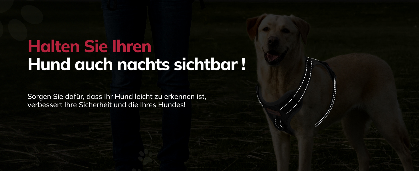 Шлейка для собак FAYOGOO з переднім кріпленням, не тягне, регульована, м'яка, з підкладкою, для малих, середніх та великих собак, синього кольору (S)