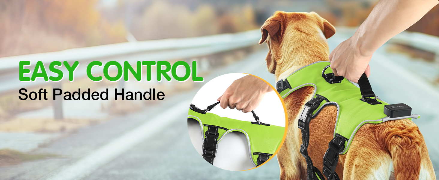 Світловідбиваючий нашийник для собак з LED, перезаряджуваний, м'який, водонепроникний, 3 режими, зелений, розмір M