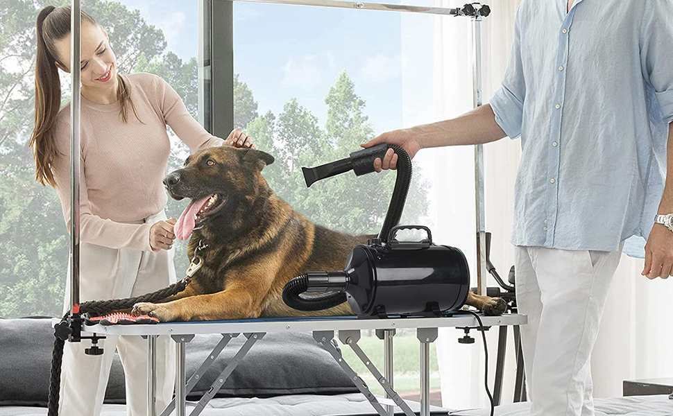 Професійний фен для собак 3200W з 4 насадками, чорний, для грумінгу