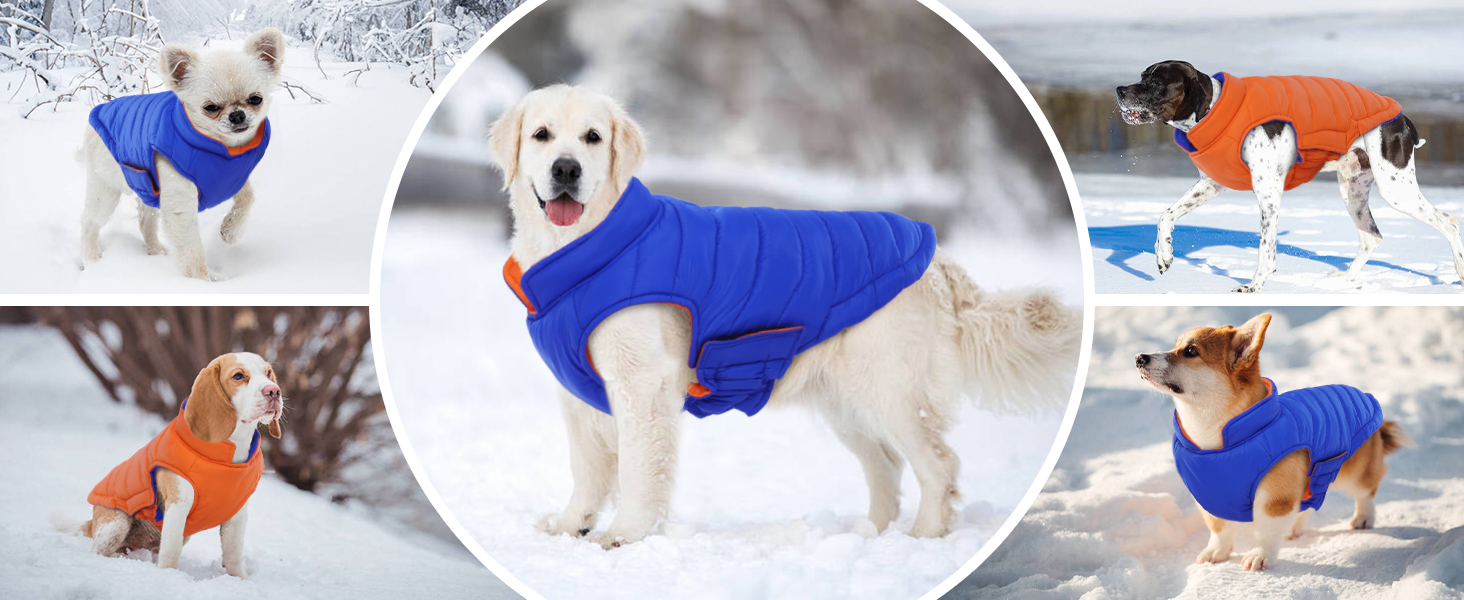 Зимовий одяг для собак Lelepet: тепла водонепроникна куртка для великих собак, двостороння вітрозахисна куртка з застібкою-липучкою, оранжевого та синього кольорів, розмір 2XL
