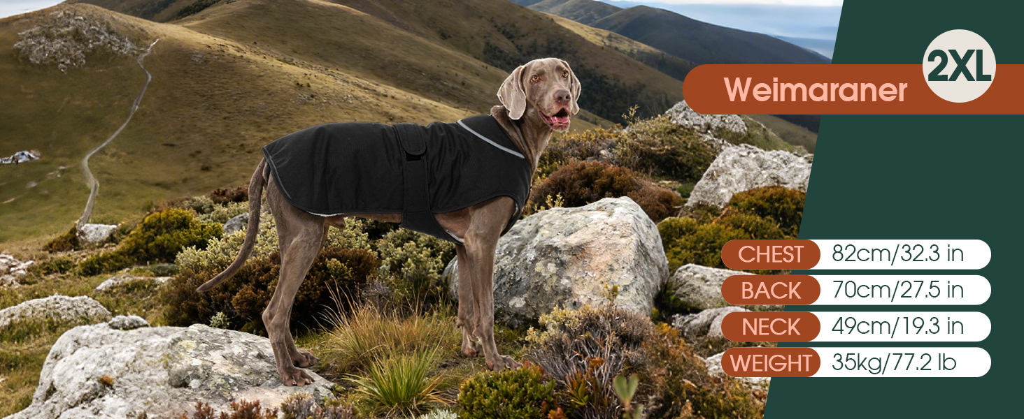 Зимовий теплий одяг для собак Kuoser: водонепроникний та вітронепроникний жилет з відбиваючими елементами, XS-3XL (обхват грудей 50-65 см)