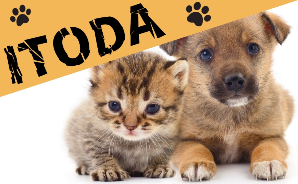 Тканинна переноска для собак та котів, сіра: зручна сумка-переноска для тварин, ідеальна для подорожей та прогулянок на вулиці. Підходить для маленьких собак та кошенят. Має регульований плечовий ремінь та сітчасте вікно для вентиляції.