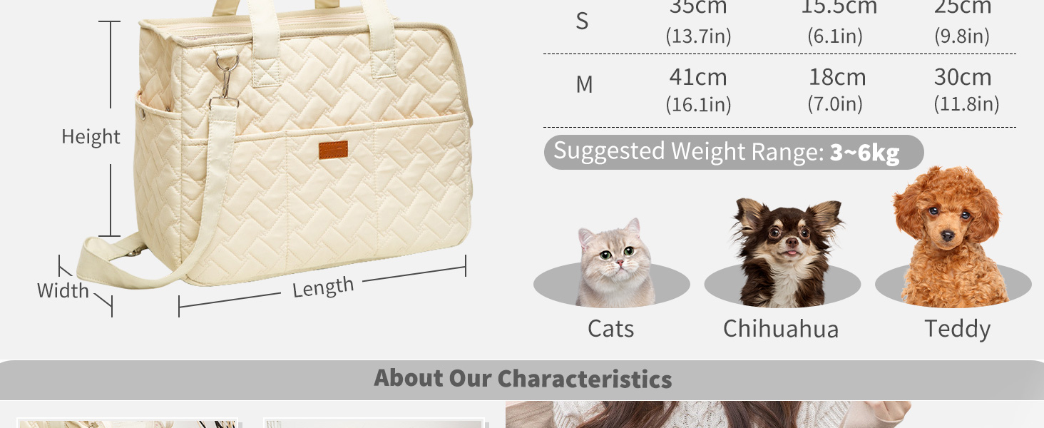 PETCUTE Сумка-переноска для собак та котів, дихаюча переноска для маленьких собак до 6 кг, сумка-переноска на плече з кишенями, переноска для собак з знімним килимком, M, Бежевий