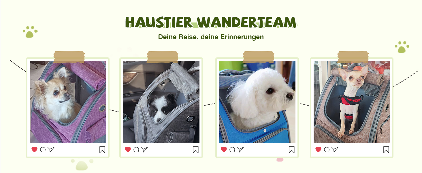 Рюкзак для котів та собак ALLSOPETS, складний, дихаючий, з сонцезахистом, для маленьких котів та собак. Ідеально для подорожей, кемпінгу та походів (Колір: Ягідний рожевий)