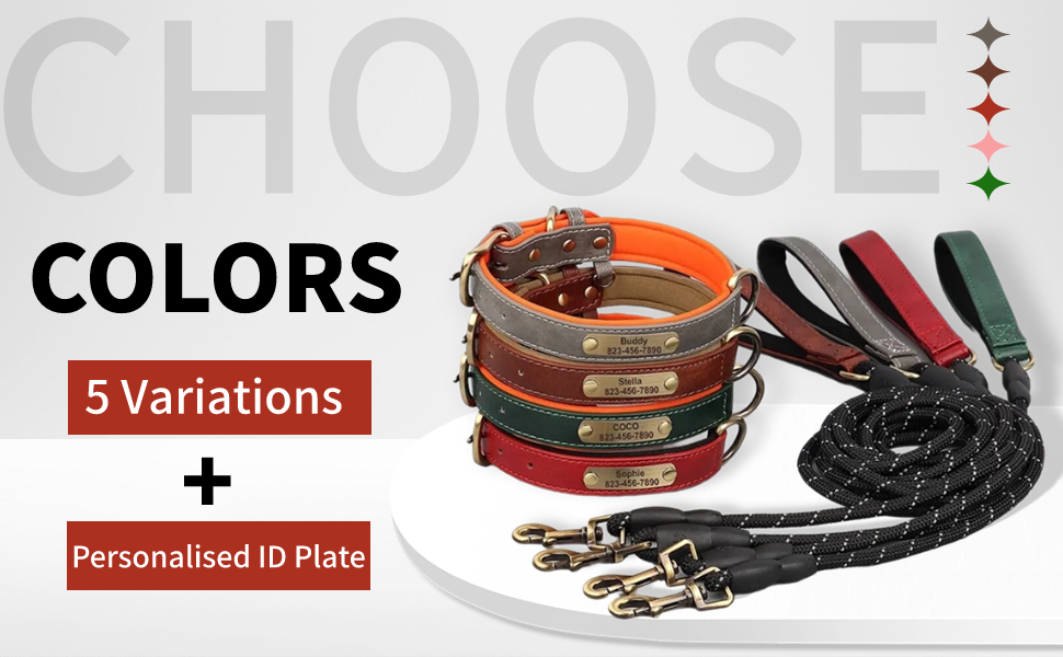 Нашийник та поводок для собак, шкіряні, персоналізовані, м'яко стьовані, міцні, з індивідуальною табличкою, регульовані (M, верблюжий, комплект M: обхват шиї 28-37 см, ширина 2 см)
