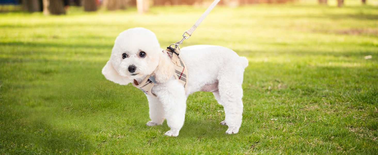 Шлейка та поводок для собак Expawlorer – класичний вибір для середніх собак, не тягнуть, регульовані, надійні для прогулянок, хакі (розмір M, обхват шиї 30-40 см, обхват грудей 40.6-45.7 см)