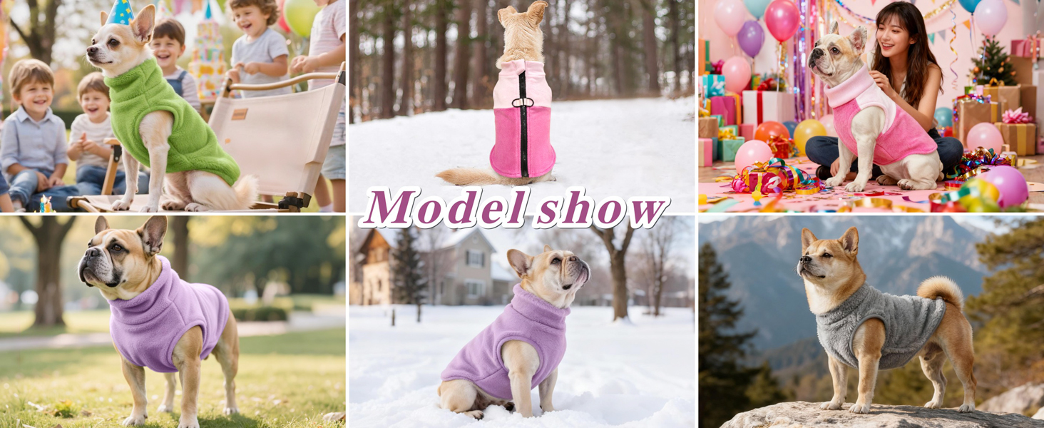 Теплий зимовий одяг для собак: куртка, пуловер, худі, комбінезон з флісу для малих, середніх та великих собак XS-XXL (зелений, S)