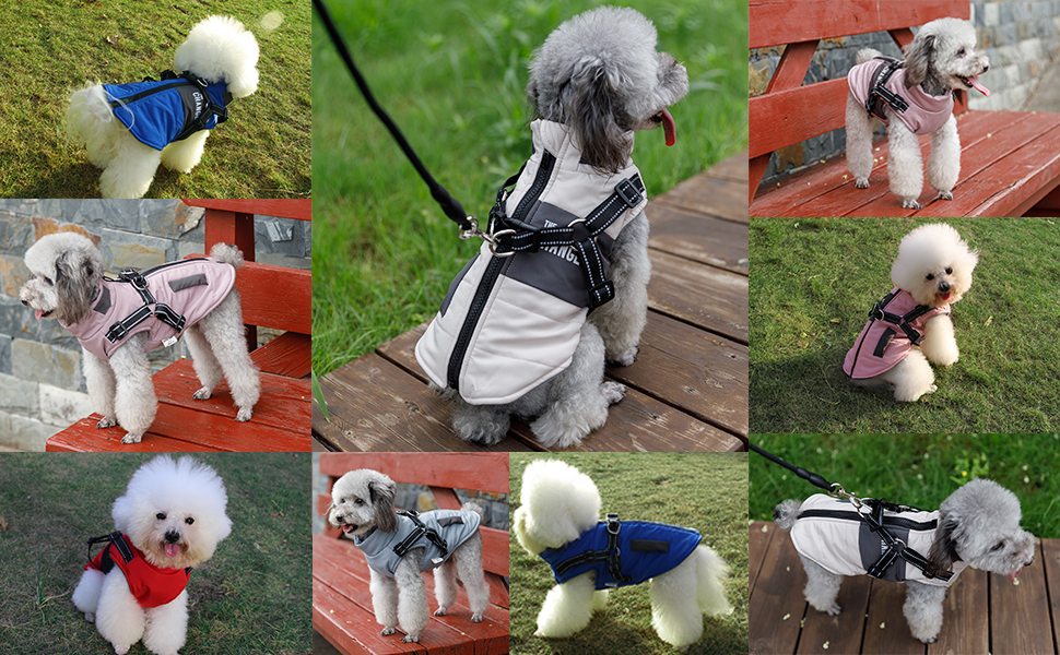 Теплий зимовий одяг для собак, куртка та жилет для маленьких та середніх порід, з світловідбиваючим жилетом, блакитний (S, блакитний)