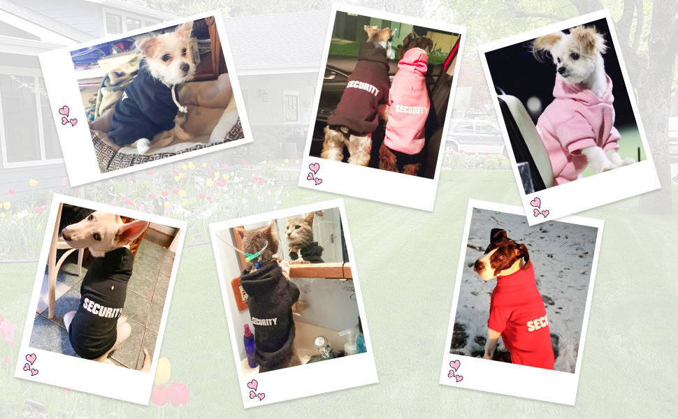 Світшот для собак BINGPET: теплий та зручний флісовий пуловер для будь-якої породи, преміум-якість (Чорний, X-Large(86см))