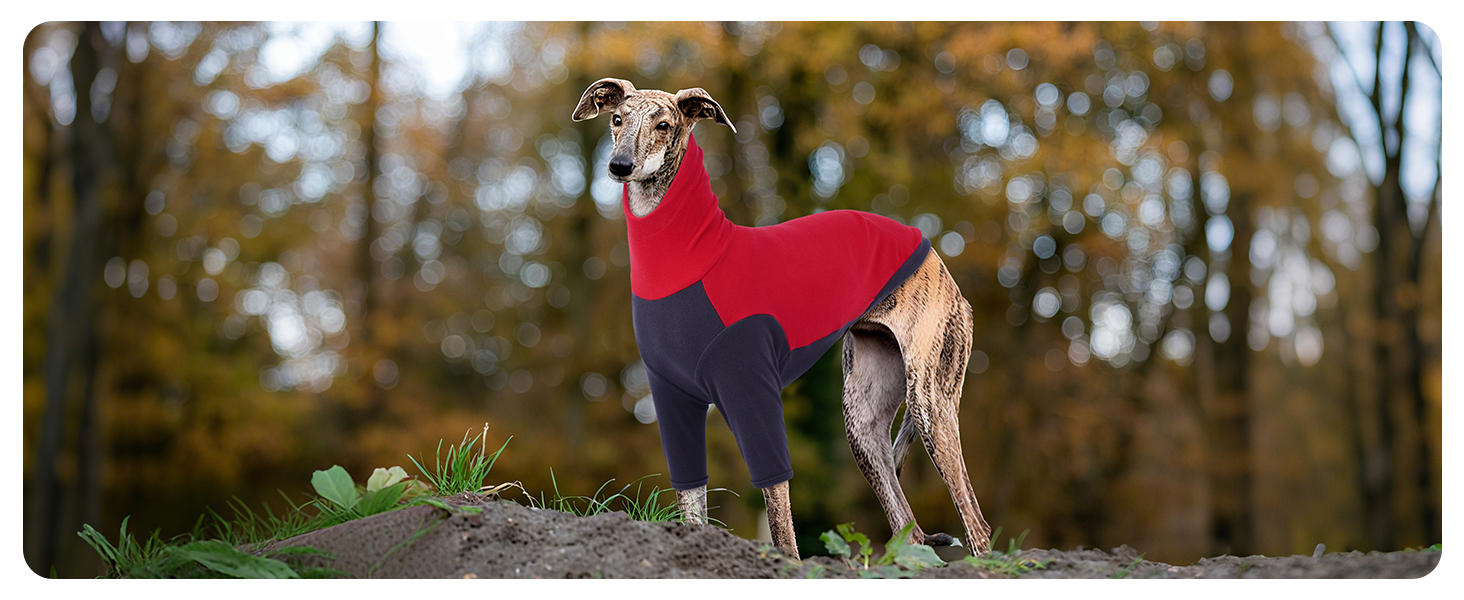 Теплий зимовий пуловер для грейхаундів та інших породистих собак, флісова куртка, піжама, жилет, червоний (L)