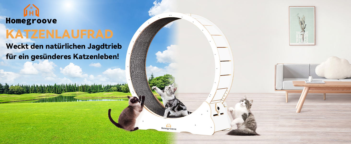 Катання для котів Homegroove, 113 см - біле, XL. Бігове колесо для котів знімним килимком для схуднення та здоров'я