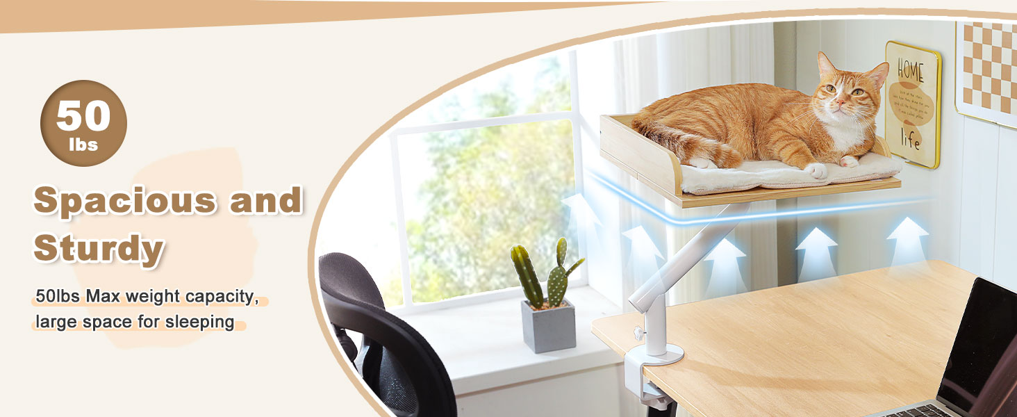 PAWZ Road: ліжко для кота на стіл, дерев'яне ліжко для котів, кошик для котів, 360° обертання та регулювання висоти, гамак для котів для дряпання, підтримує до 23 кг (Бежевий, прямокутне дерево)