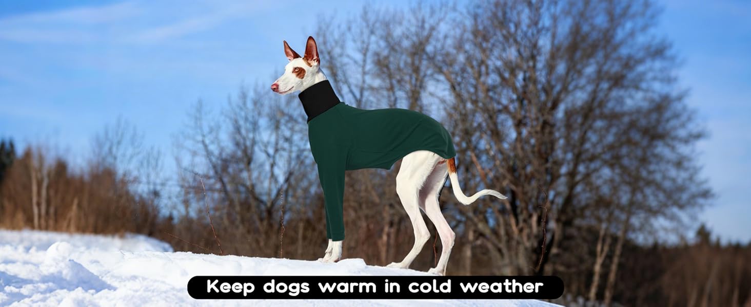 Теплий плед для Whippet, Greyhound: флісовий халат, одяг для собак, піжама (Оливковий, S)