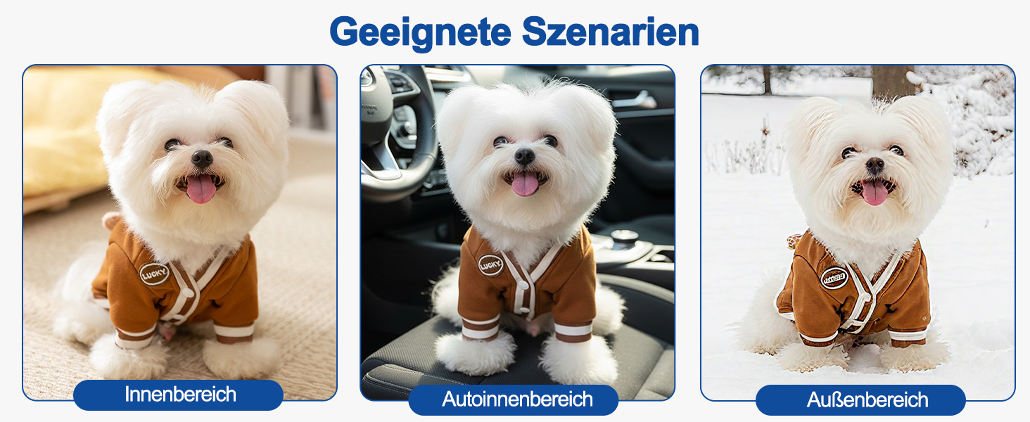 Теплий зимовий пуловер для собак Галатея з кільцем D, коричневий (M)