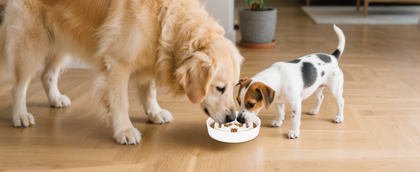 PETTOM Миска для собак протиковтання, кераміка, Ø 21 см, для великих та малих собак, Slow Feeder, білий